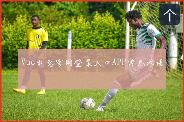 Vue电竞官网登录入口APP常见术语
